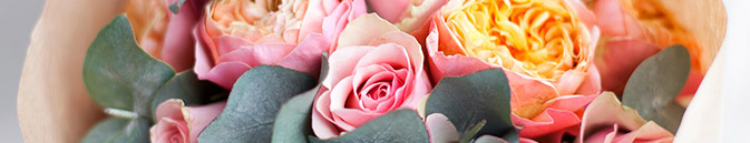 купить цветы Австрия от Grand-flora